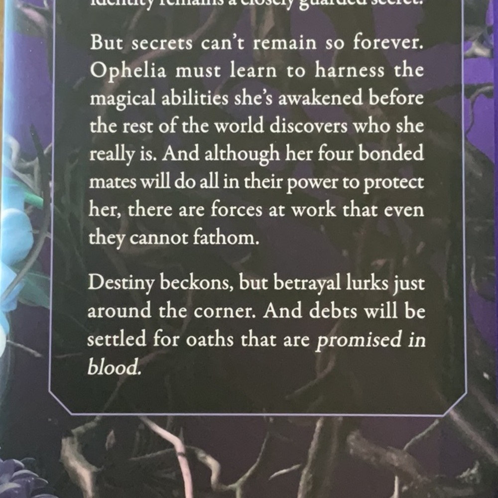 Sadie Kincaid Hardcovers - Picture 12 of 14